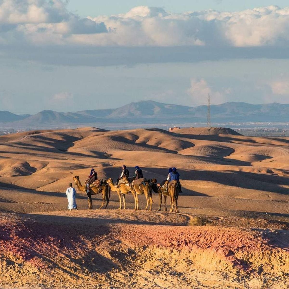 Camel caravan crossing the hills of the Agafay Desert