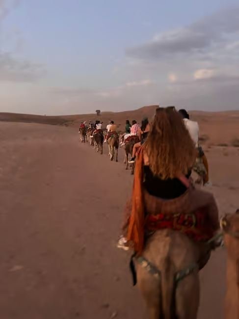 Agafay Sunset Camel Ride with Dinner & Show 8